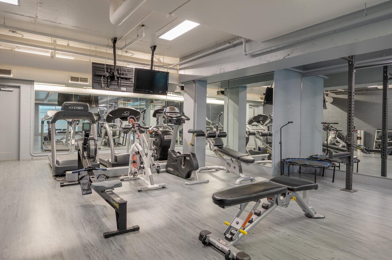 Exercise room - 306-4200 Rue St-Ambroise, Montréal (Le Sud-Ouest), QC - Indoor Photo Showing Gym Room