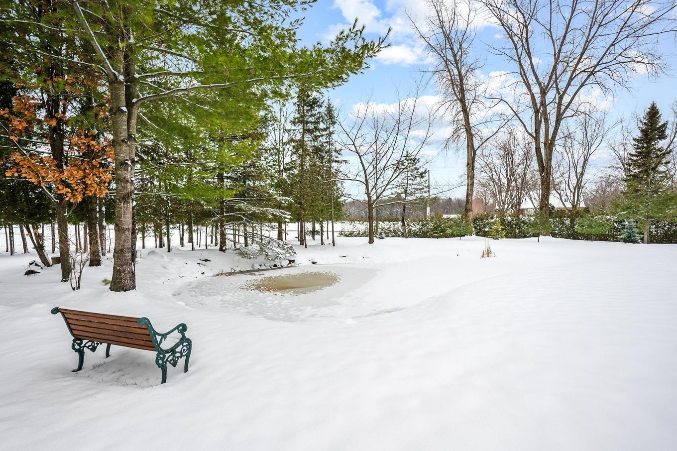 Backyard - 95 Ch. Des Quarante, Saint-Mathias-Sur-Richelieu, QC - Outdoor