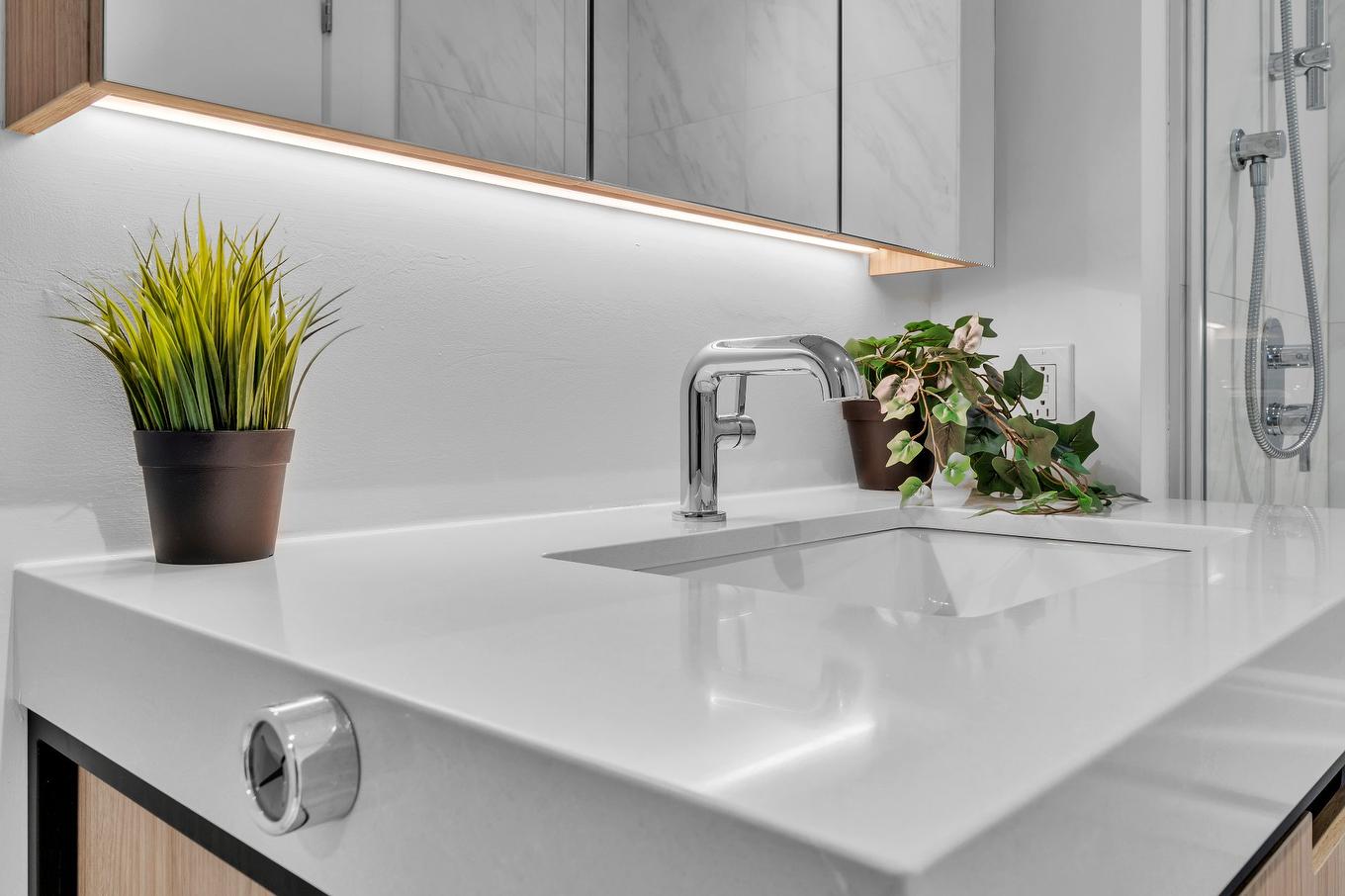 Salle de bains - 821-200 Rue Marie-Charles-Le Moyne, Longueuil (Le Vieux-Longueuil), QC - Indoor Photo Showing Bathroom