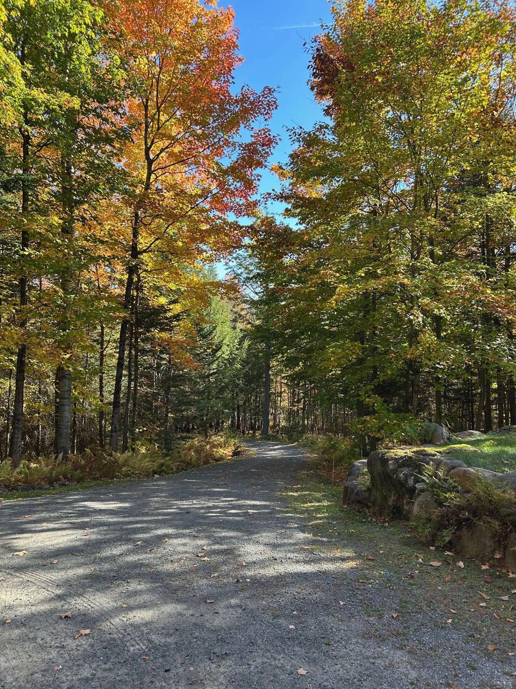 Exterior - 525 Rue Des Cyprès, Sainte-Adèle, QC - Outdoor With View