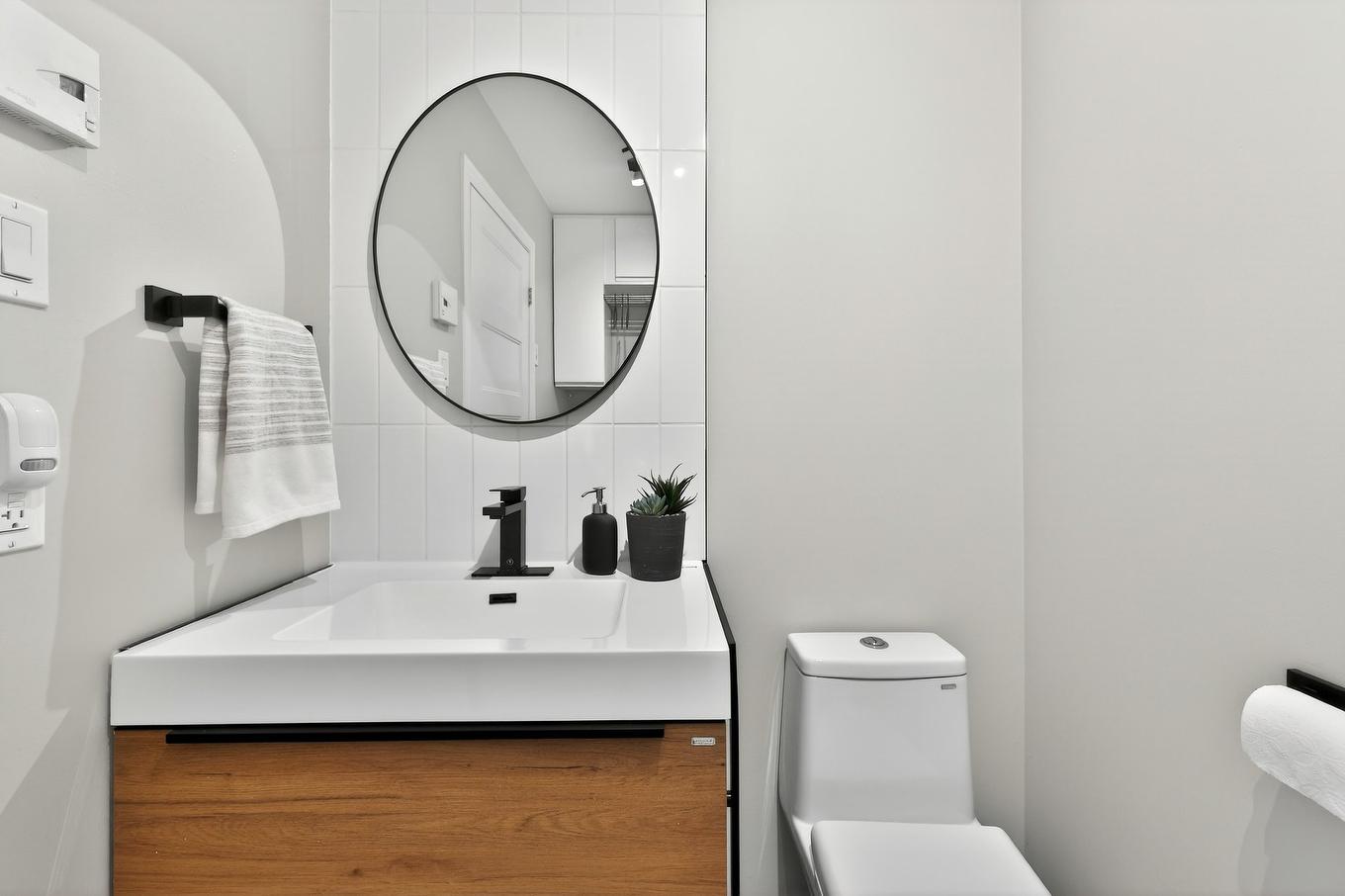 Salle d'eau - 1039 Rue Des Perdrix, Otterburn Park, QC