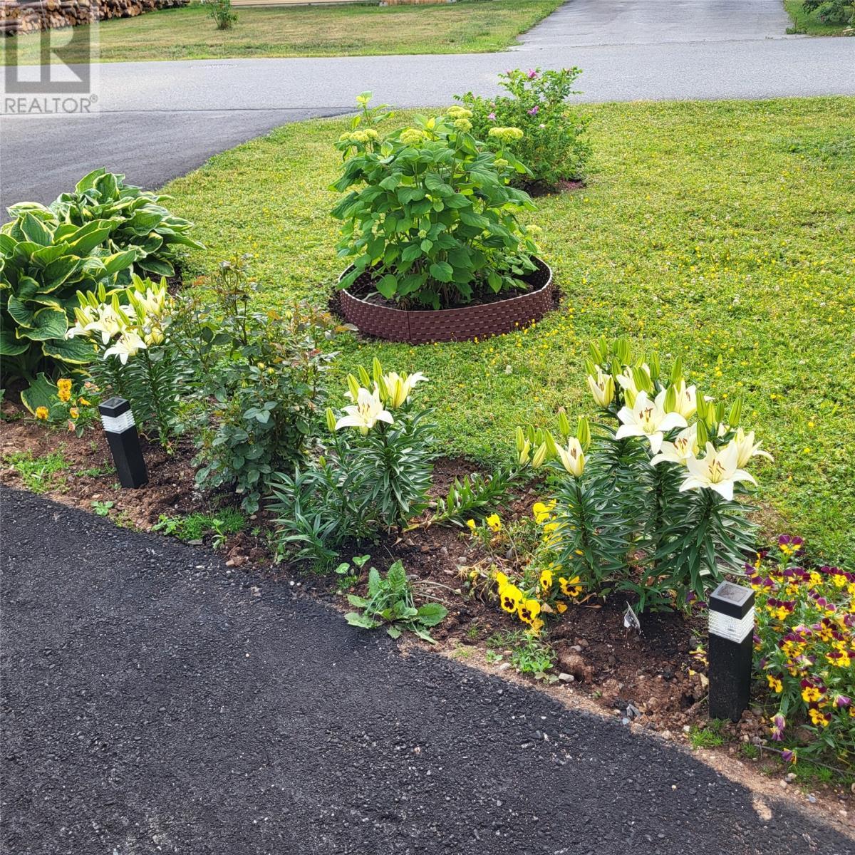 20 Second Avenue, Pasadena, NL - Outdoor