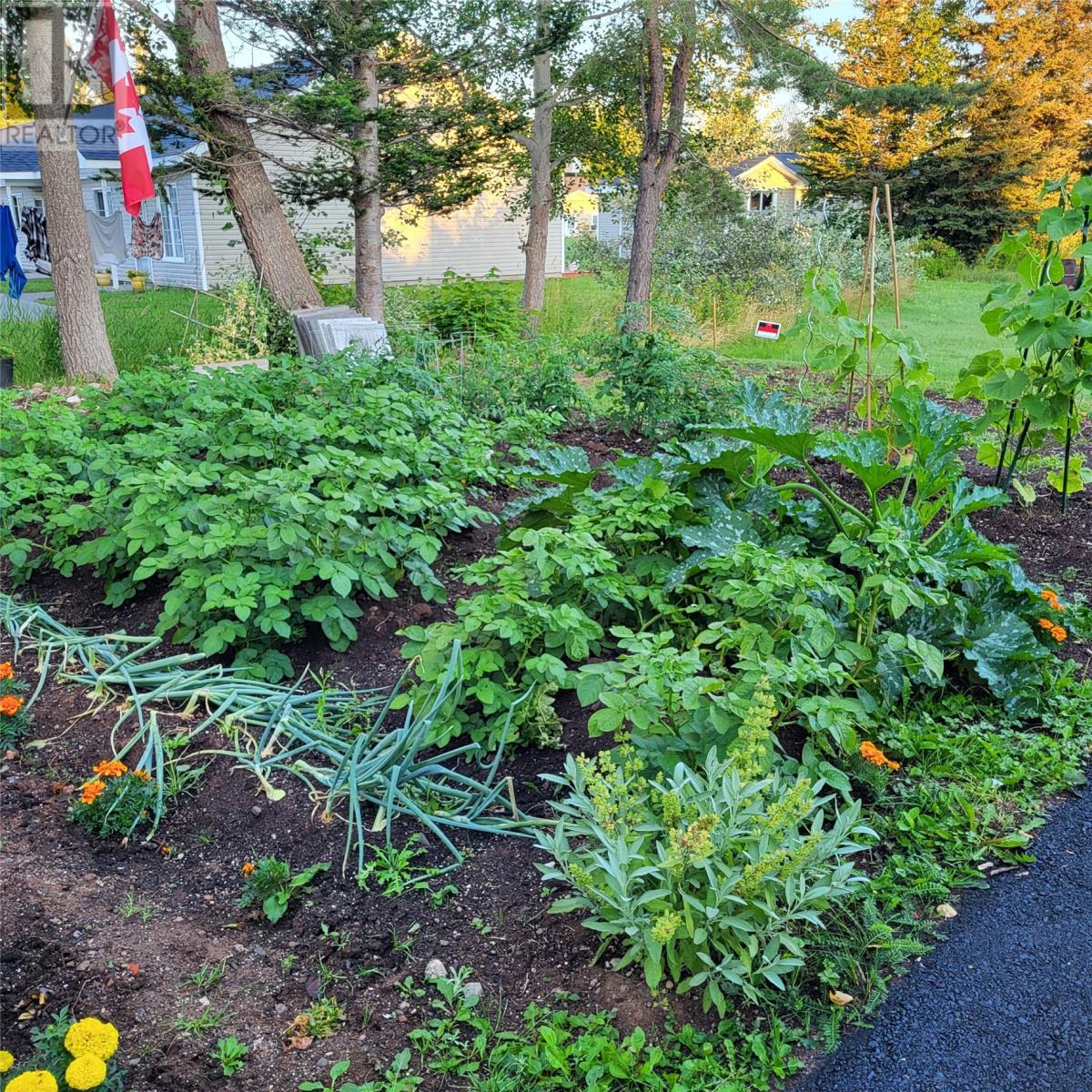 20 Second Avenue, Pasadena, NL - Outdoor