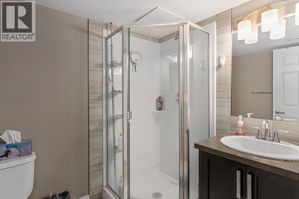 17 Aster Place Se, Airdrie, AB - Indoor Photo Showing Bathroom