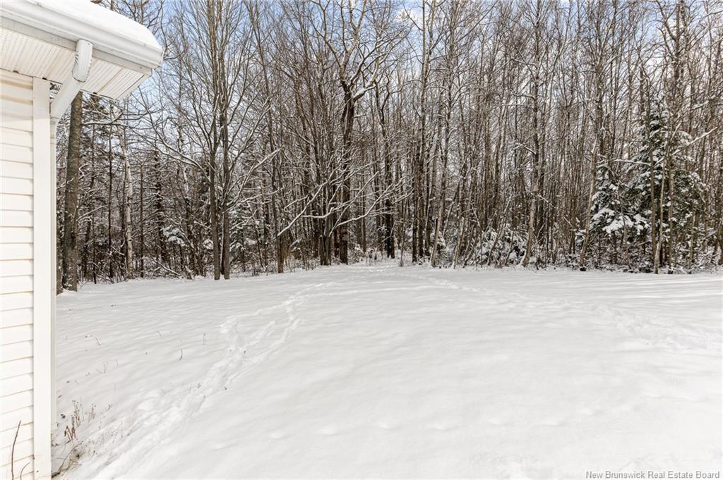 332 Ryan, Moncton, NB