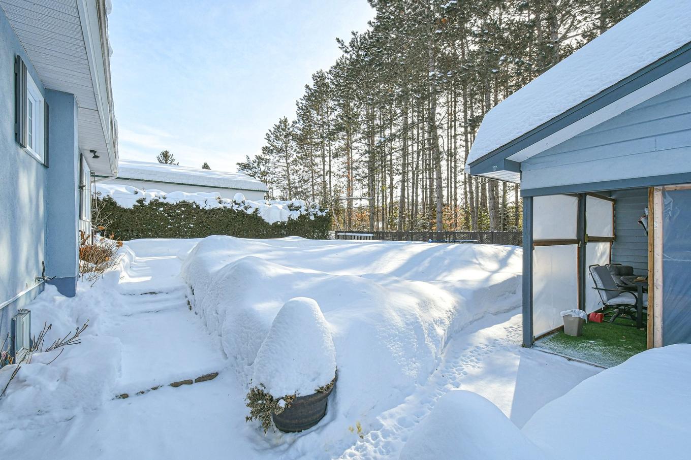 Backyard - 10 Av. David, Saint-Sauveur, QC - Outdoor