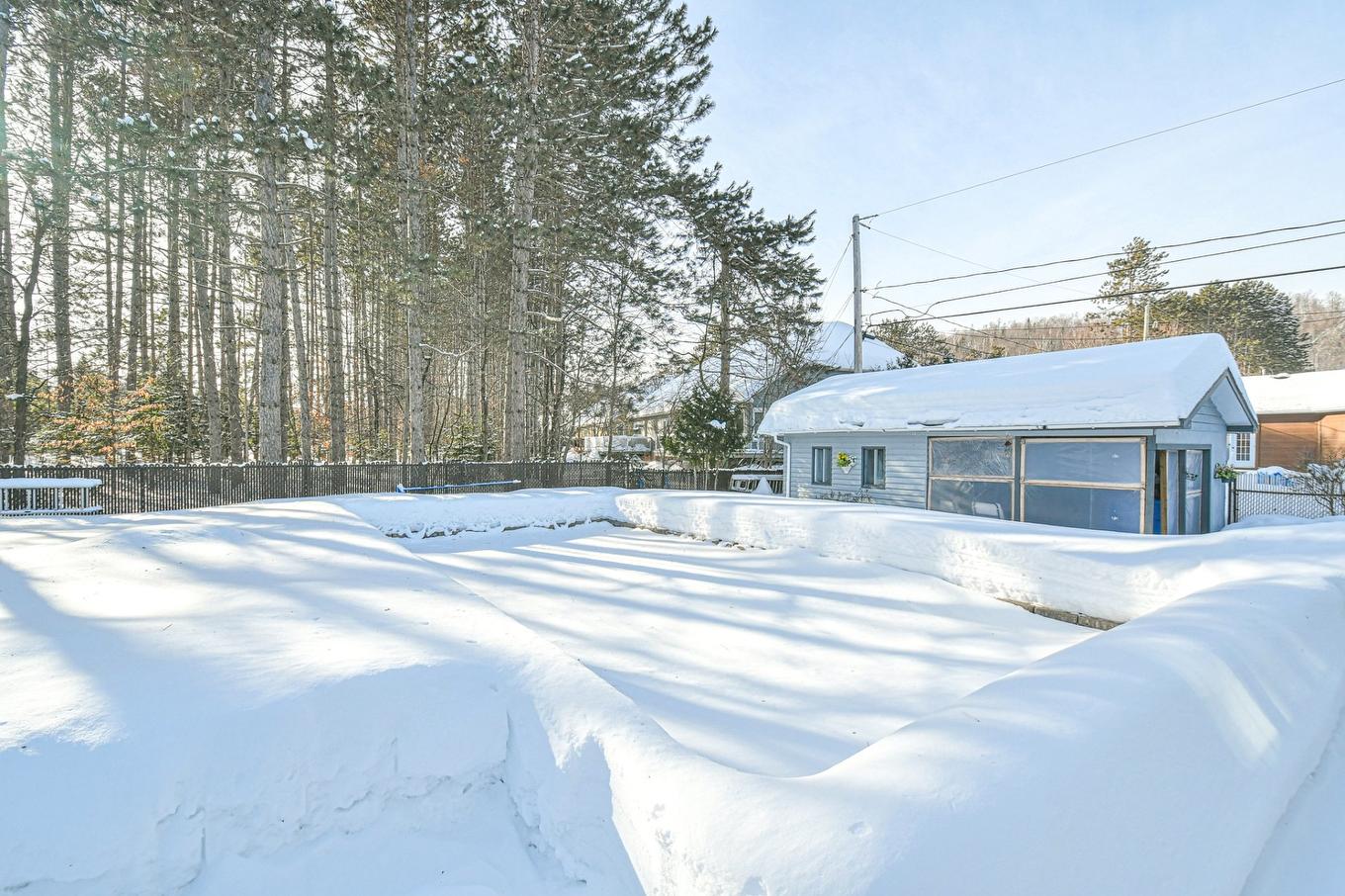 Backyard - 10 Av. David, Saint-Sauveur, QC - Outdoor
