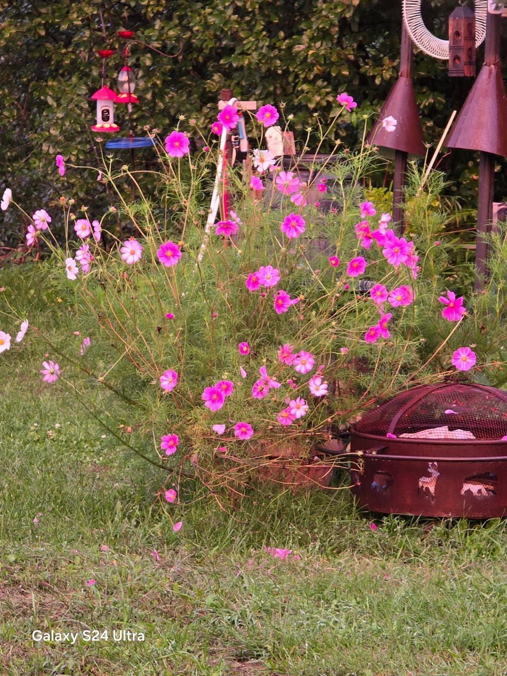 Autre - 189 Boul. Des Hauteurs, Saint-Jérôme, QC - Outdoor