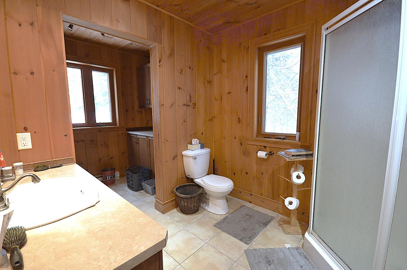 Salle de bains - 169 Ch. Roy, Amherst, QC - Indoor Photo Showing Bathroom