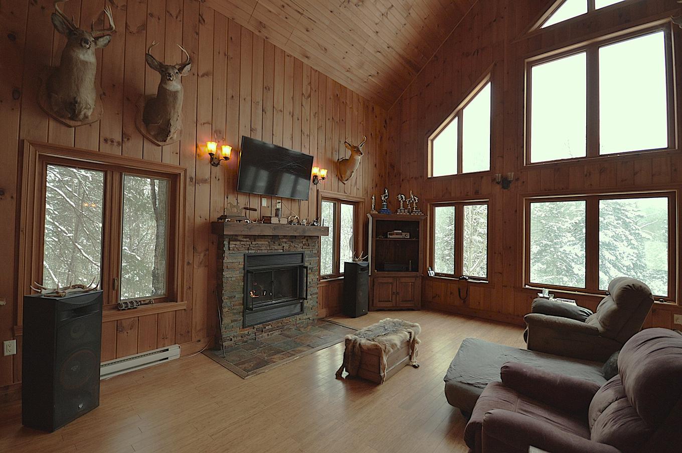 Salon - 169 Ch. Roy, Amherst, QC - Indoor Photo Showing Living Room With Fireplace