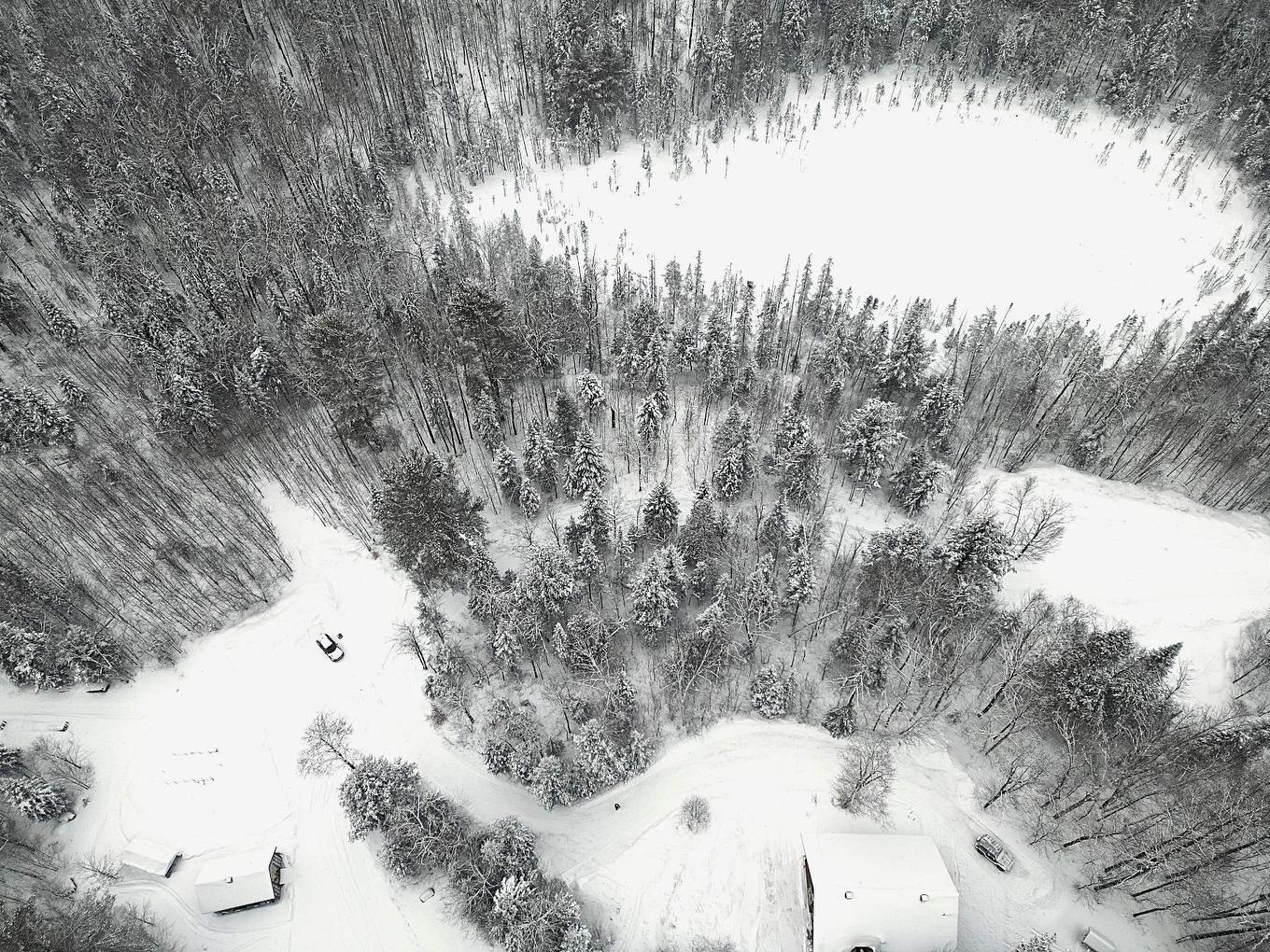 Terre/Terrain - 169 Ch. Roy, Amherst, QC - Outdoor With View