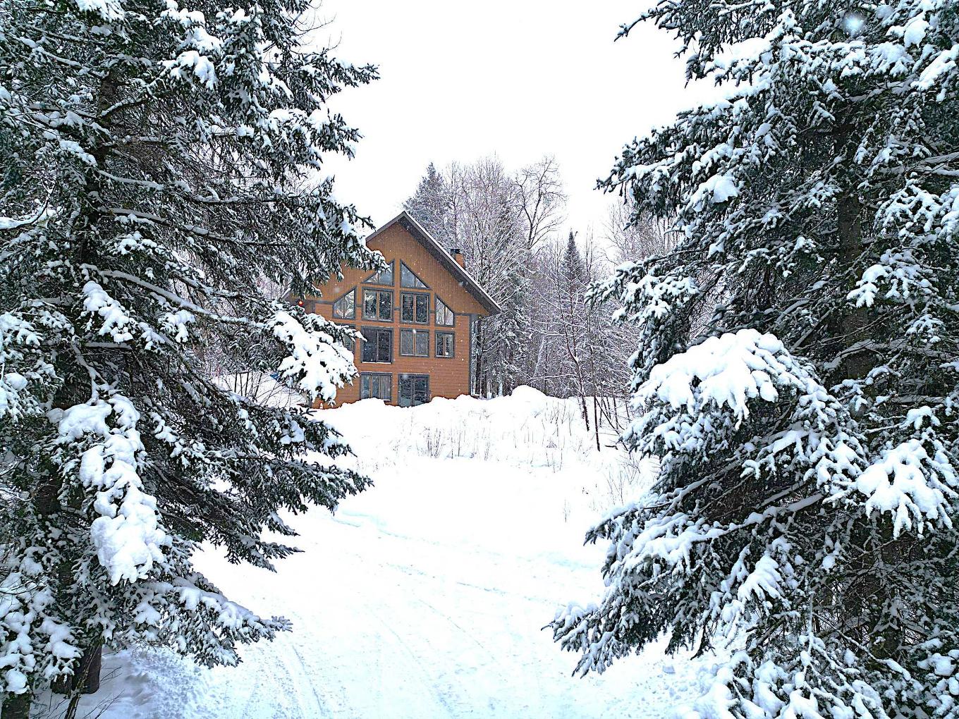 Vue d'ensemble - 169 Ch. Roy, Amherst, QC - Outdoor