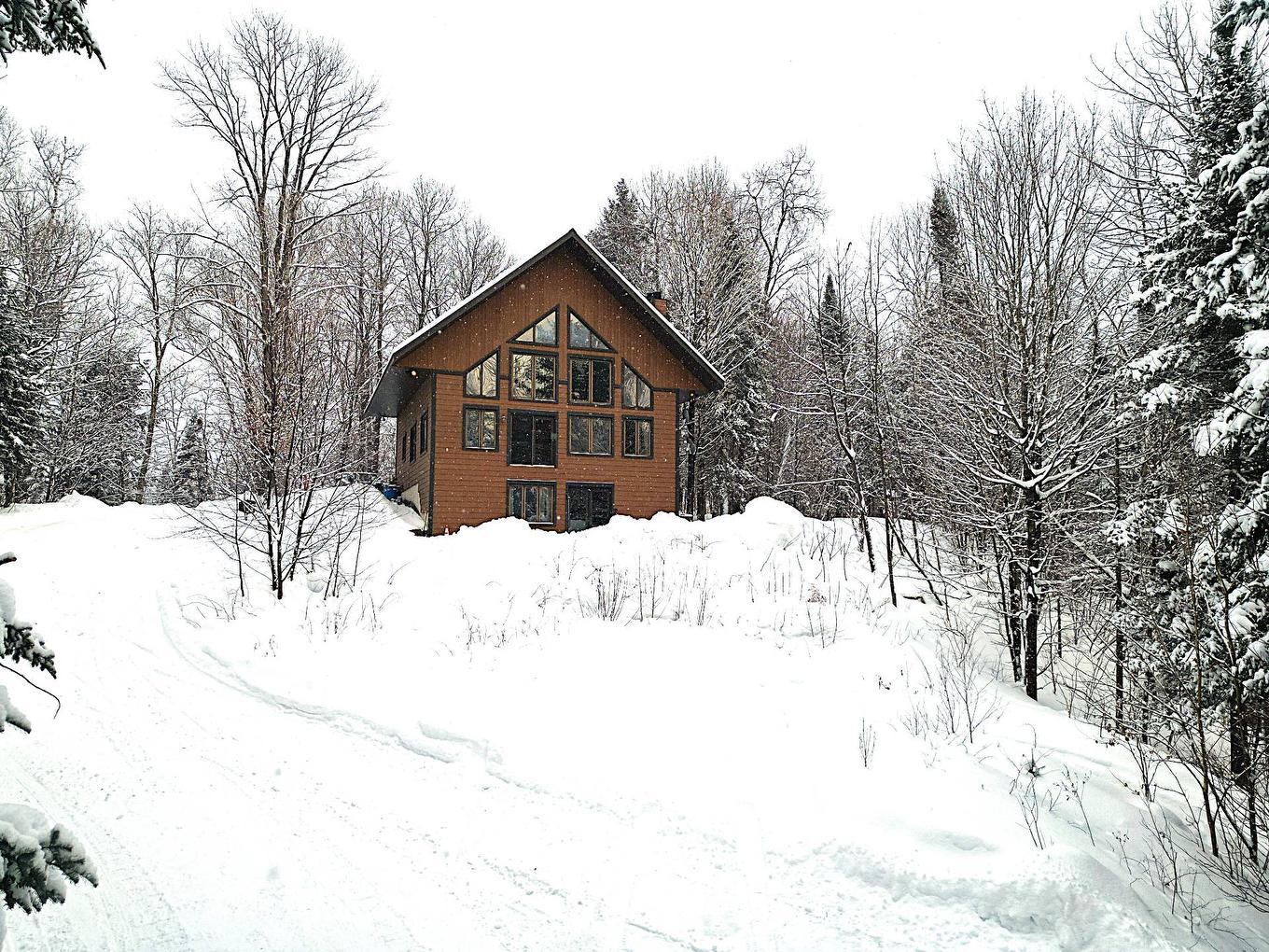 Façade - 169 Ch. Roy, Amherst, QC - Outdoor
