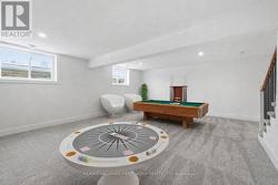 Finished Lower Level -