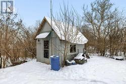 Shed in back yard -