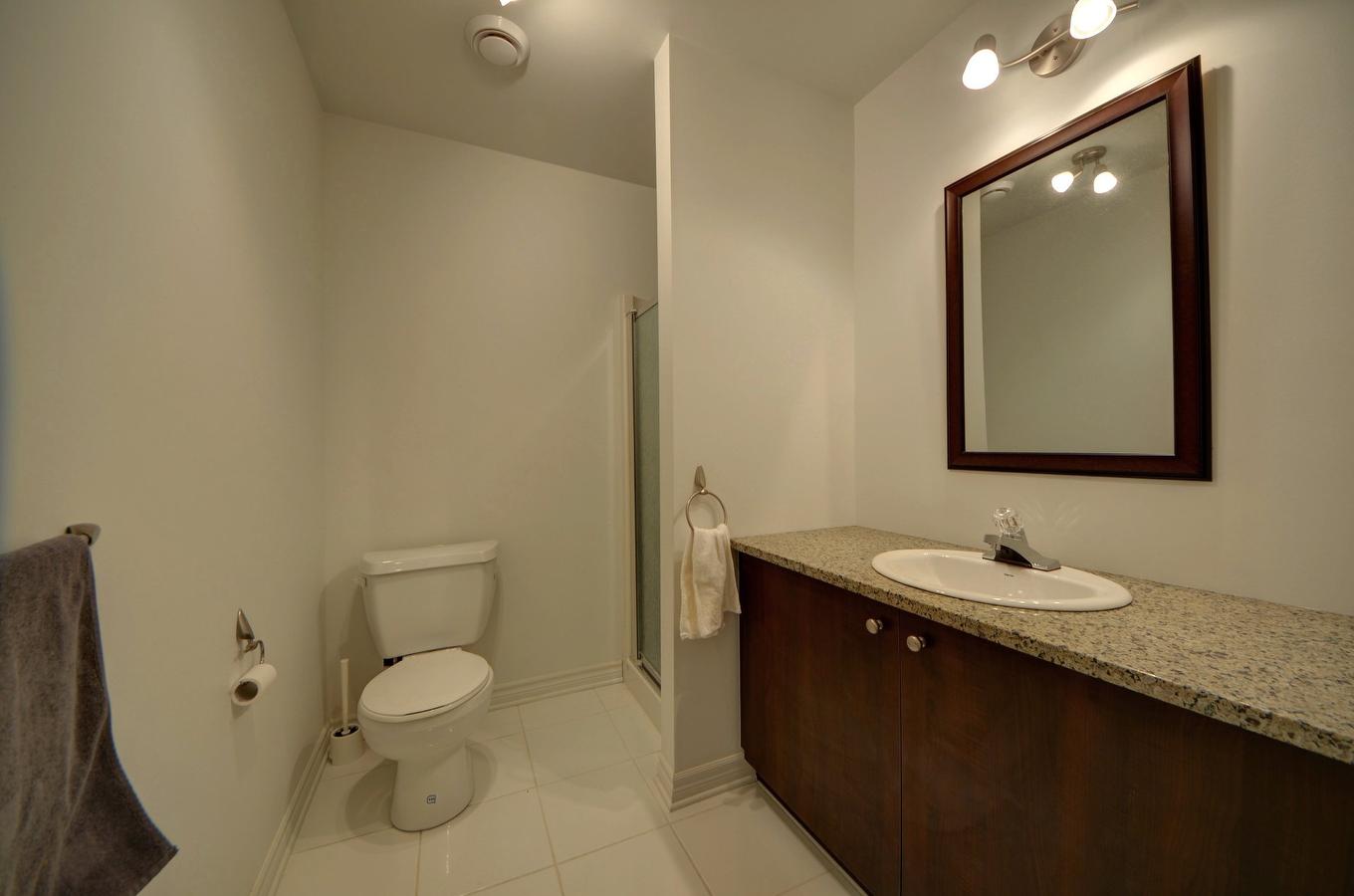 Bathroom - 5527 Rue Aline, Brossard, QC - Indoor Photo Showing Bathroom