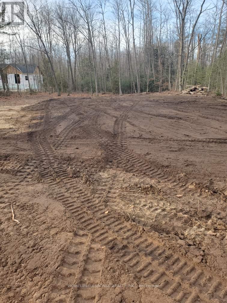 56 Poplar Drive W, Tiny, ON