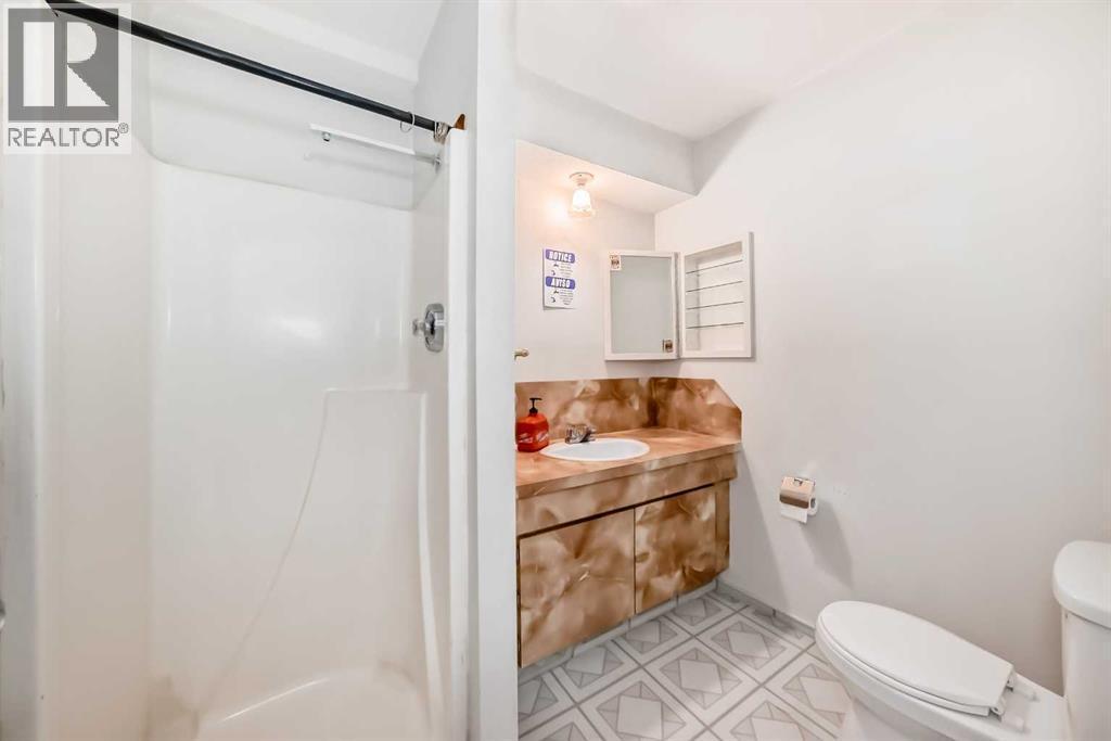 142 Hunterhorn Drive Ne, Calgary, AB - Indoor Photo Showing Bathroom