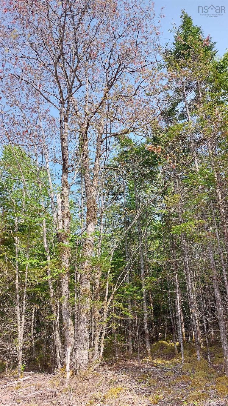 Lot 18 Highway 4, False Bay, NS