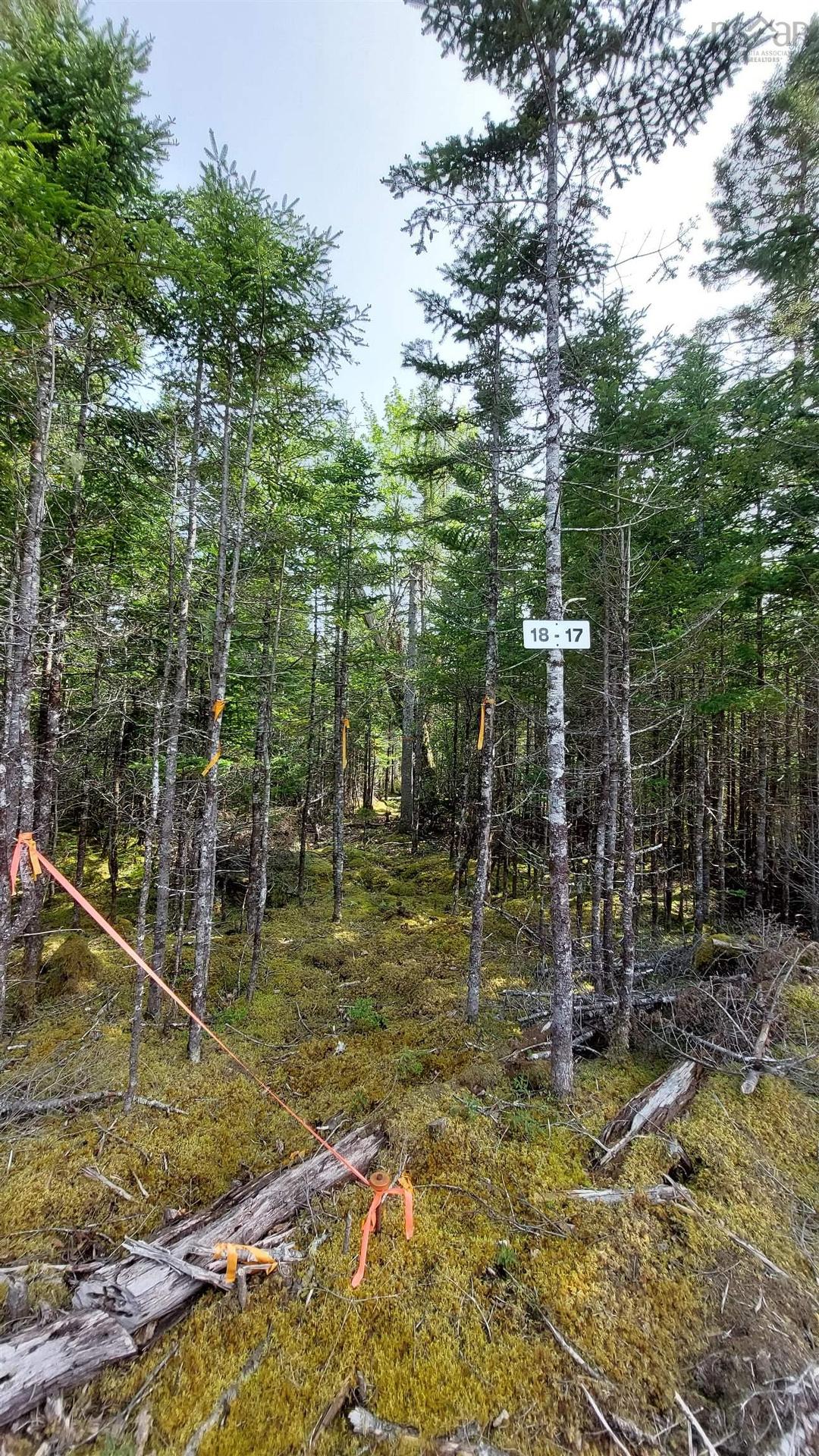 Lot 18 Highway 4, False Bay, NS