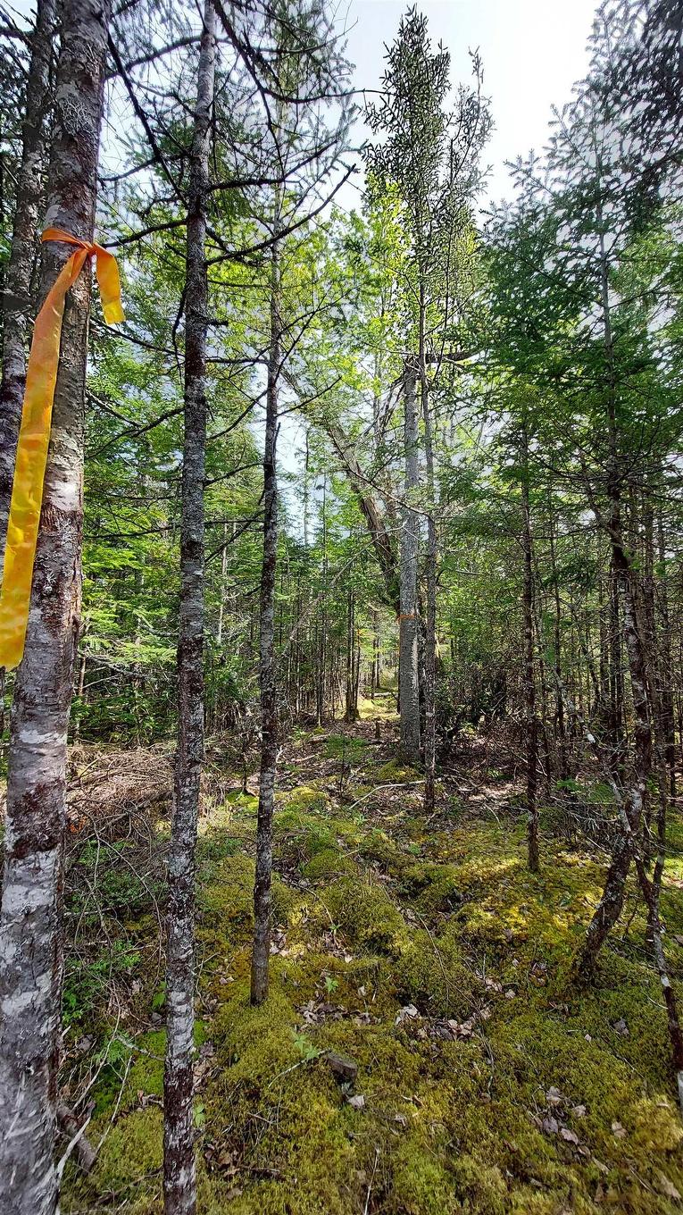 Lot 18 Highway 4, False Bay, NS