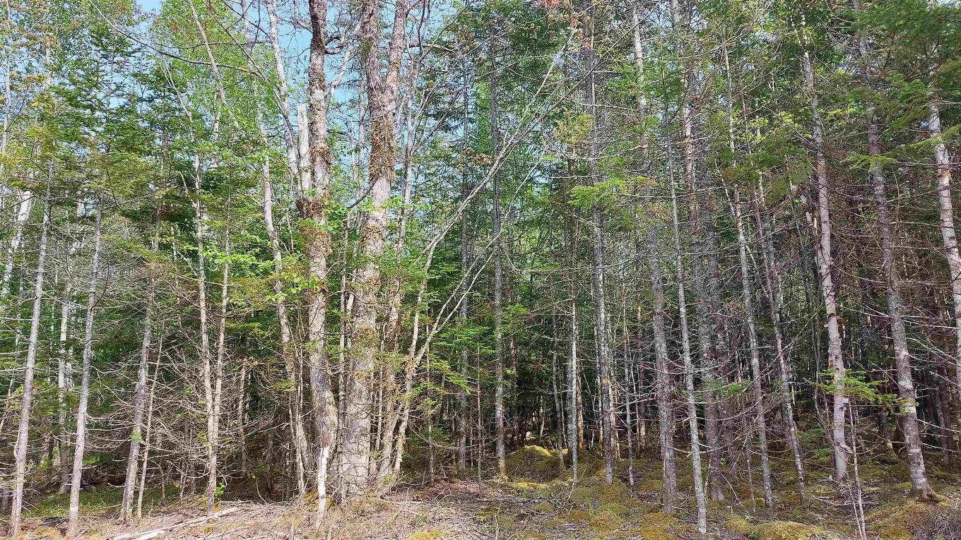Lot 18 Highway 4, False Bay, NS