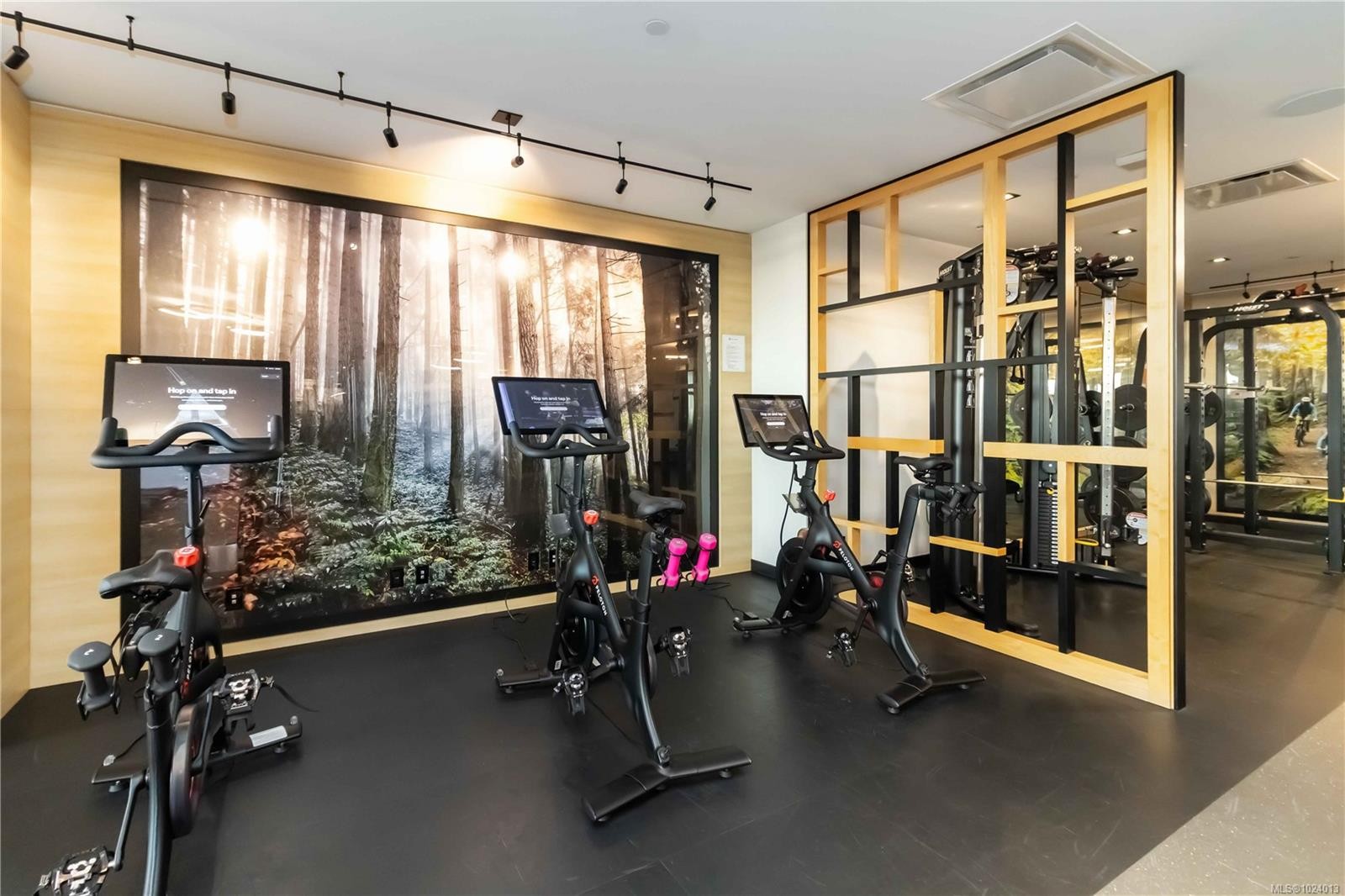 308-369 Tyee Rd, Victoria, BC - Indoor Photo Showing Gym Room