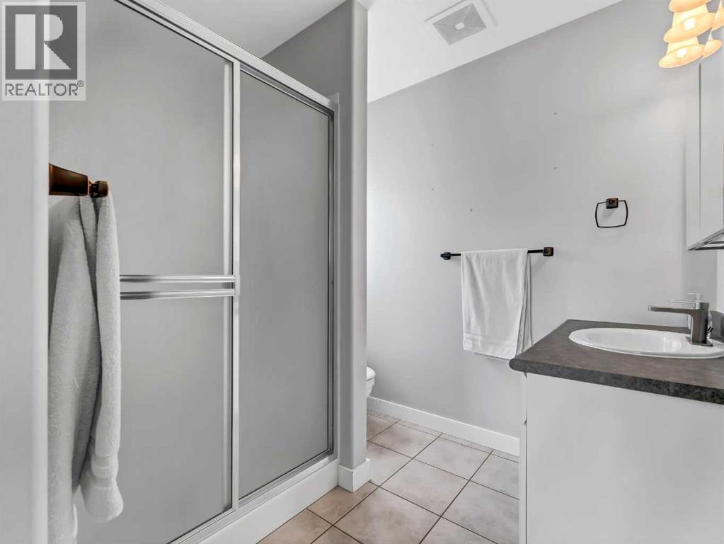 122 Redcliff Way Sw, Redcliff, AB - Indoor Photo Showing Bathroom