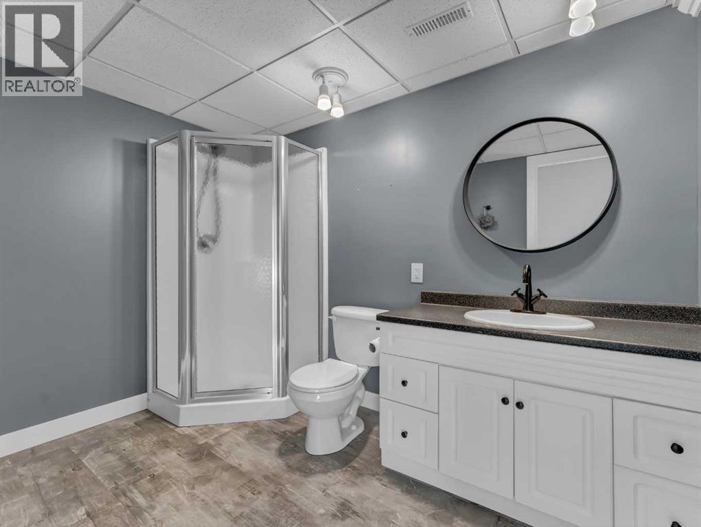 122 Redcliff Way Sw, Redcliff, AB - Indoor Photo Showing Bathroom