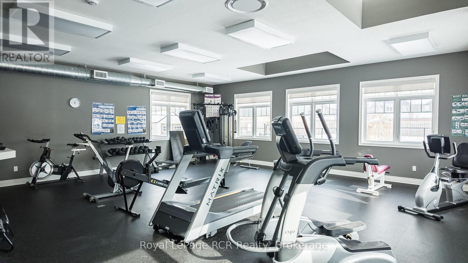 160 Preservation Road, Collingwood, ON - Indoor Photo Showing Gym Room