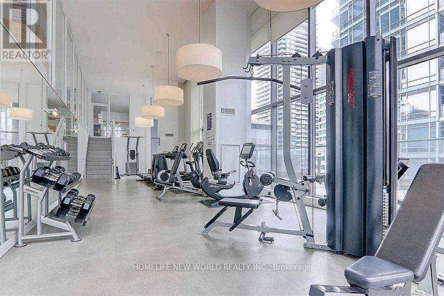 2004 - 295 Adelaide Street W, Toronto, ON - Indoor Photo Showing Gym Room