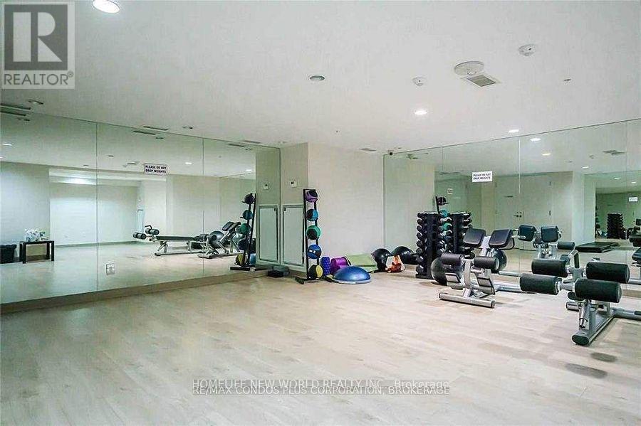 2004 - 295 Adelaide Street W, Toronto, ON - Indoor Photo Showing Gym Room