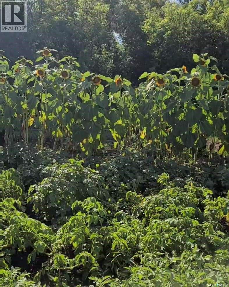 Bowes Acreage, Laird, SK - Outdoor