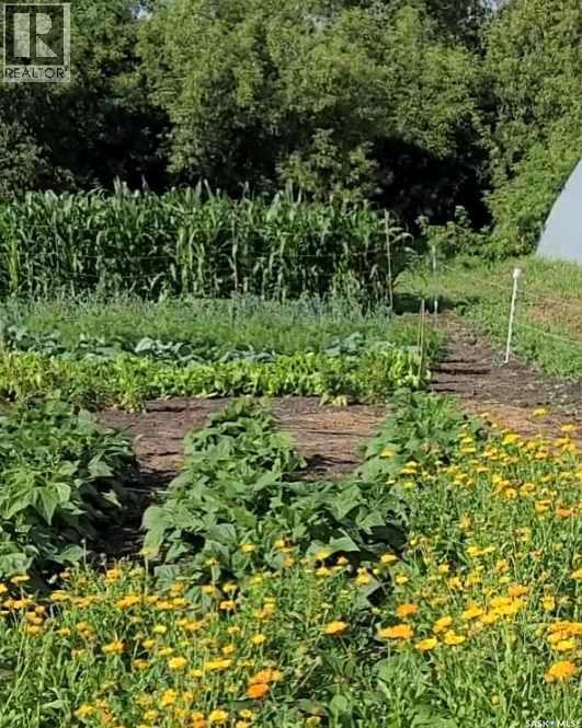Bowes Acreage, Laird, SK - Outdoor