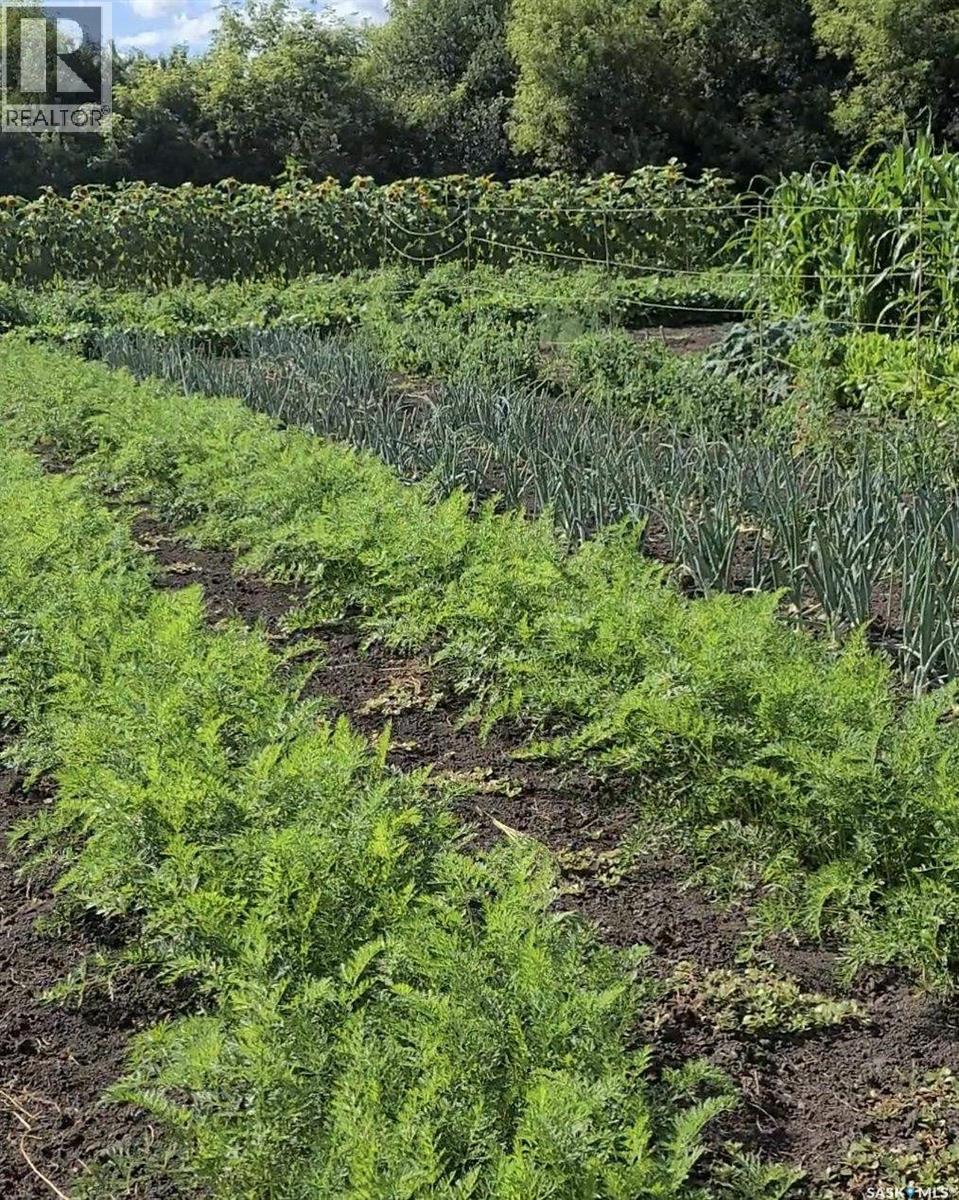 Bowes Acreage, Laird, SK - Outdoor