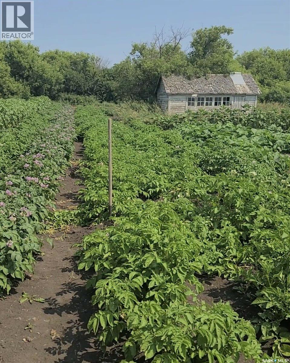 Bowes Acreage, Laird, SK - Outdoor