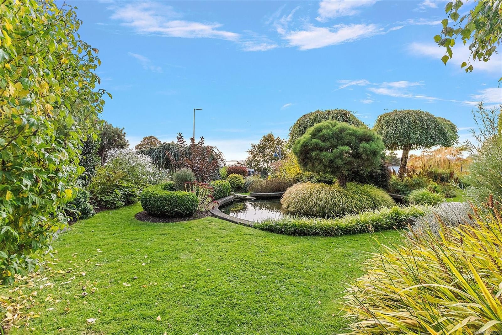 631-21 Dallas Rd, Victoria, BC - Outdoor