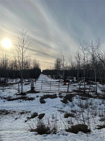 10907 Municipal 42E Road Rd, St Genevieve, MB