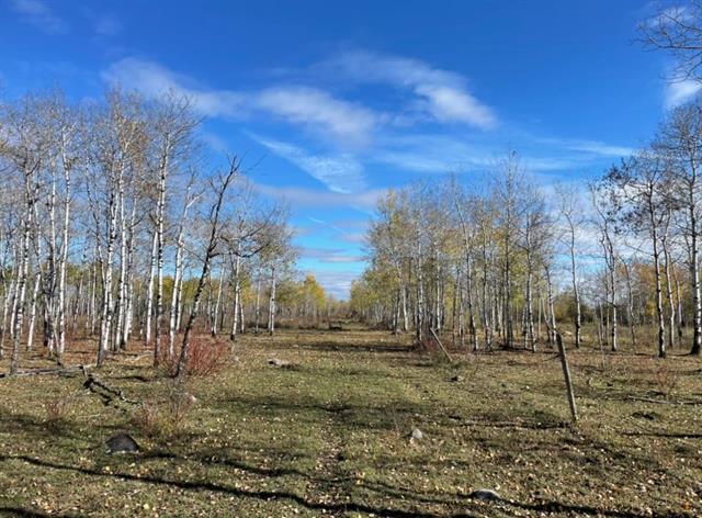 10907 Municipal 42E Road Rd, St Genevieve, MB