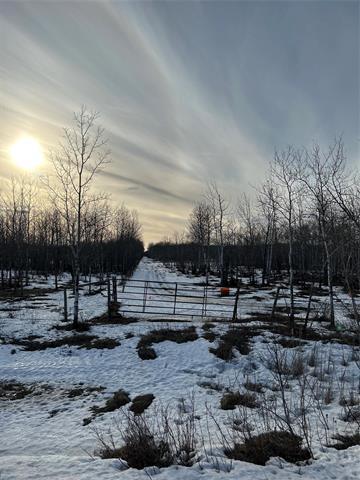 10907 Municipal 42E Road Rd, St Genevieve, MB