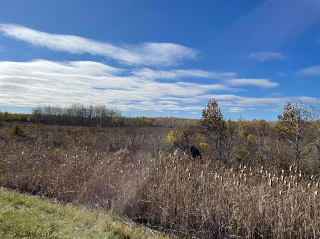 10907 Municipal 42E Road Rd, St Genevieve, MB