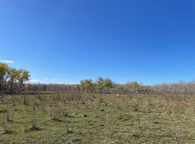 10907 Municipal 42E Road Rd, St Genevieve, MB