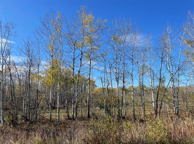 10907 Municipal 42E Road Rd, St Genevieve, MB