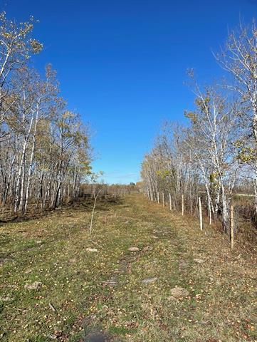 10907 Municipal 42E Road Rd, St Genevieve, MB