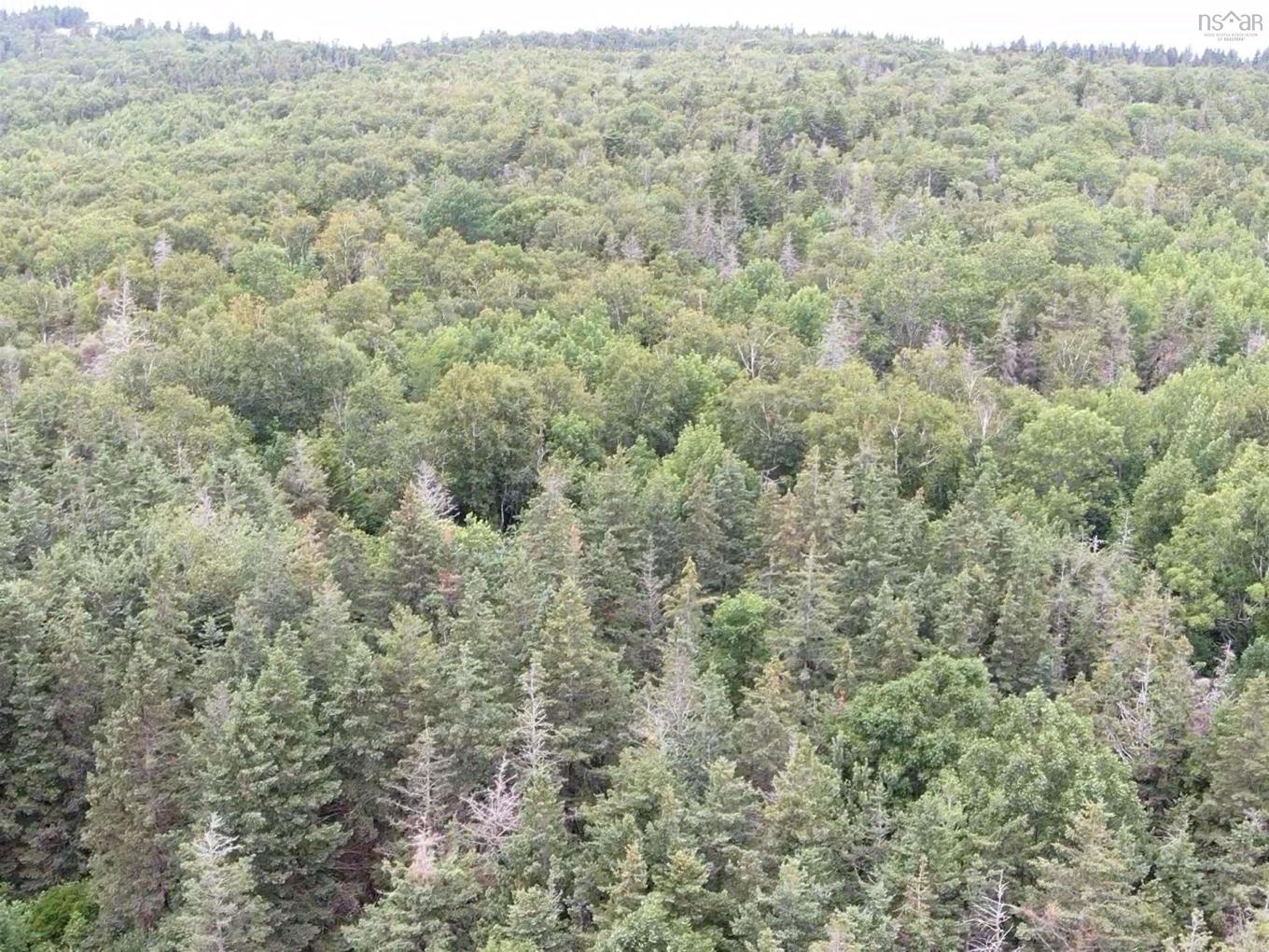 Lot Shore Road E, Hampton, NS