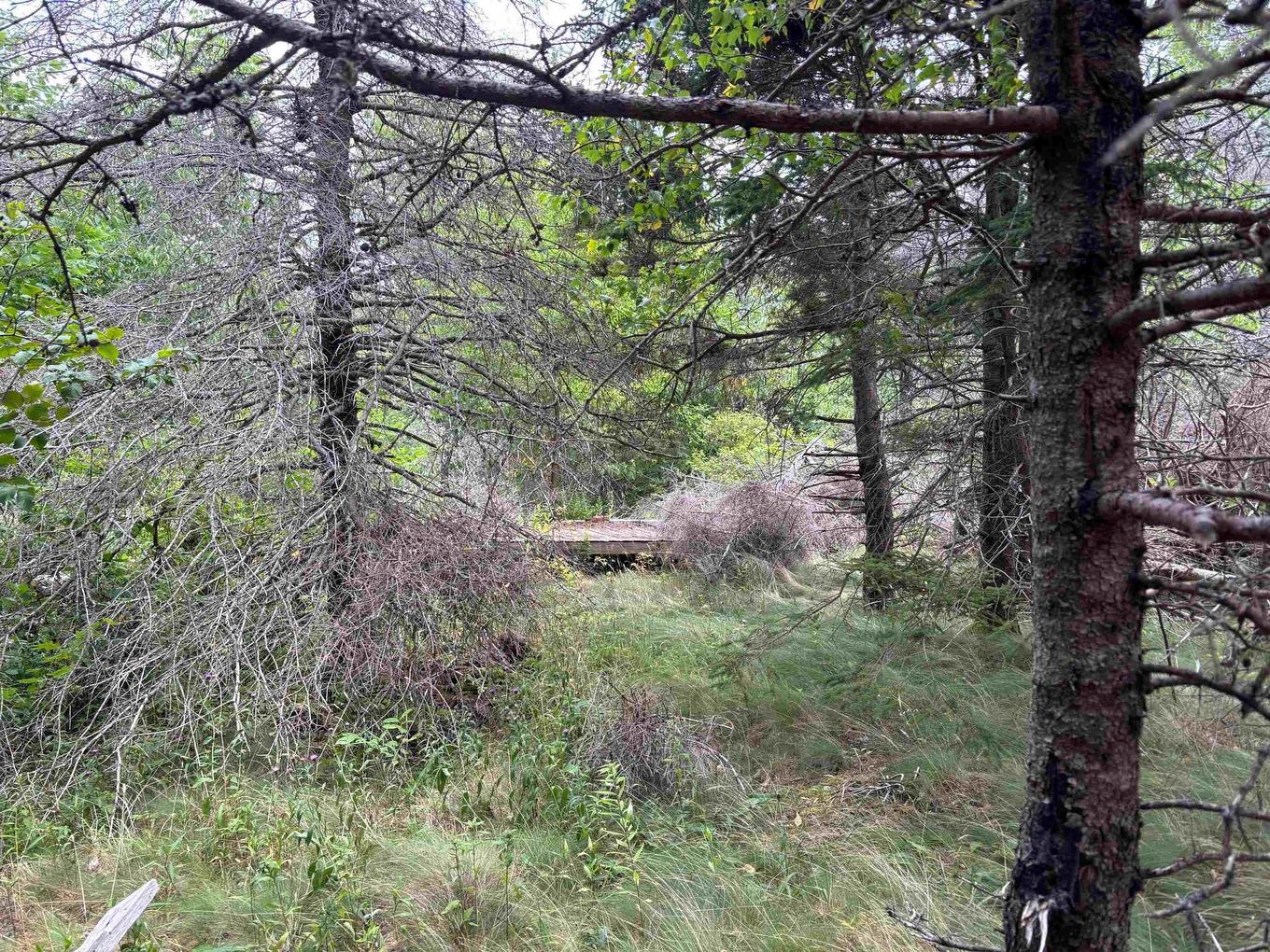 Lot Shore Road E, Hampton, NS