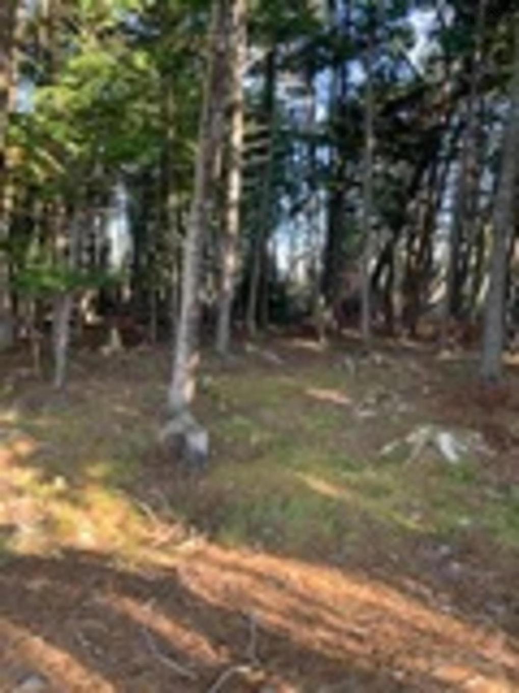 18 Acres Highway 256, West Branch, NS