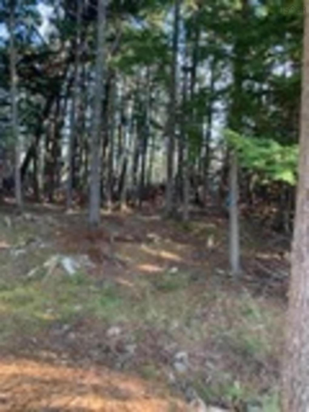 18 Acres Highway 256, West Branch, NS