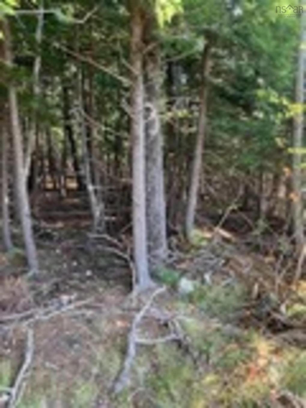 18 Acres Highway 256, West Branch, NS