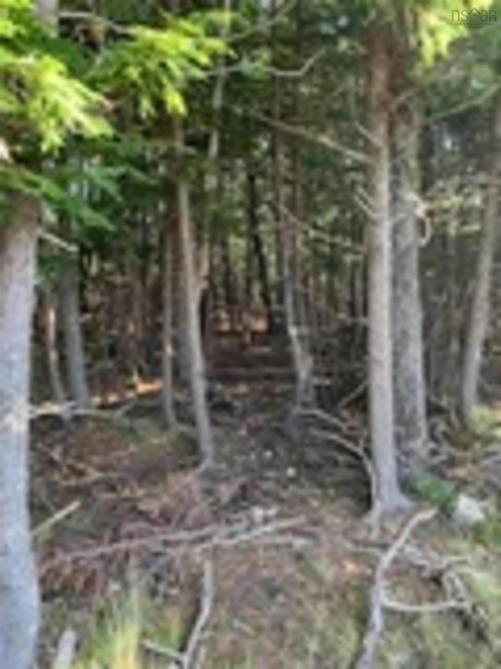 18 Acres Highway 256, West Branch, NS